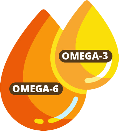 Omega 2 und 6